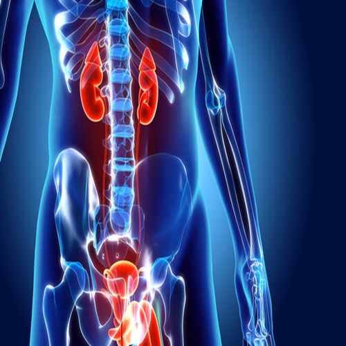 Urology Laser