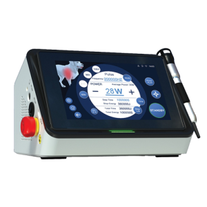 Veterinary Diode Laser System Manufacturers in Botad